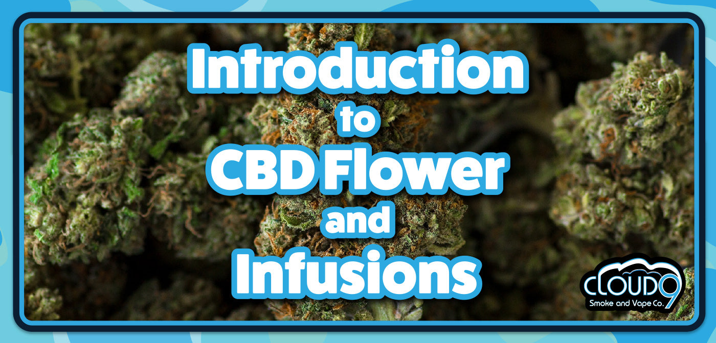 Introduction to CBD Flower & CBD Infusions