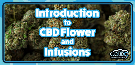 Introduction to CBD Flower & CBD Infusions