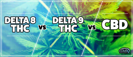 Delta 8 THC VS Delta 9 THC VS CBD