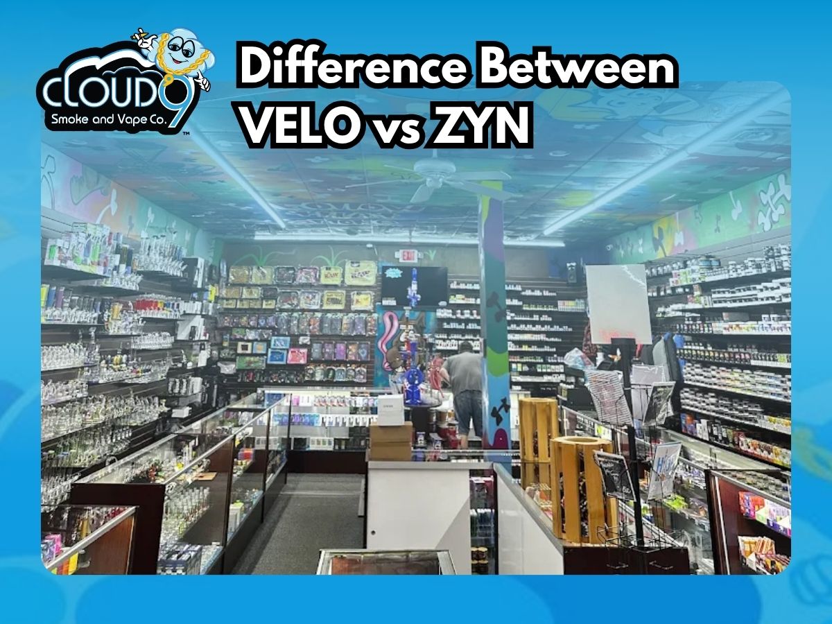Difference Between VELO vs ZYN