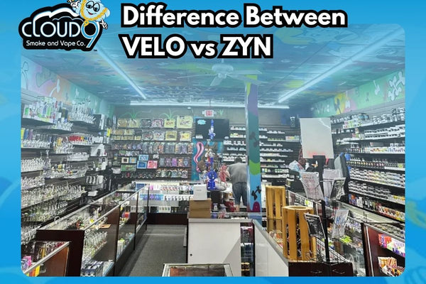 Difference Between VELO vs ZYN