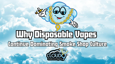 Why Disposable Vapes Continue Dominating Smoke Shop Culture