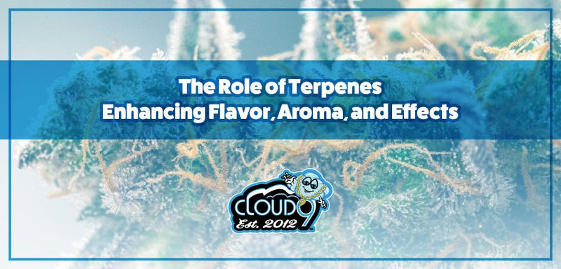 The Role of Terpenes: Enhancing Flavor, Aroma, and Effects