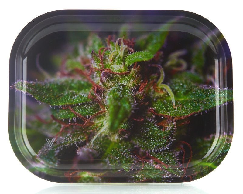 V Syndicate Metal Tray 12