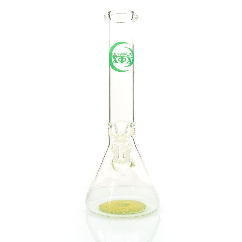 Olympus 10in Beaker 2