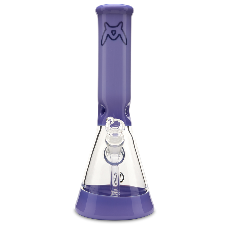 Mav Glass Full Color Mini Beaker