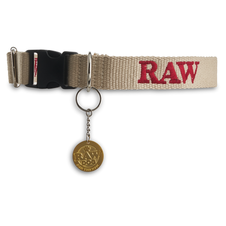 Medium Raw Dog Collar