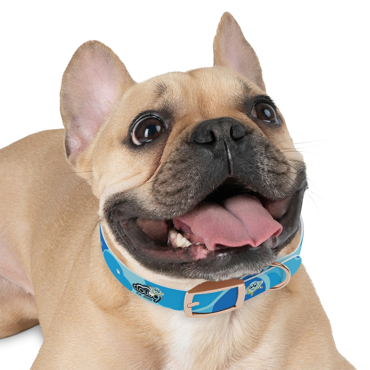 Dog Collar