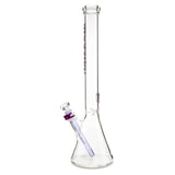 Illadelph glass tall beaker purple label for sale online